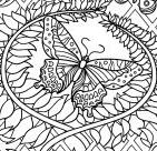 Coloring Pages design photo